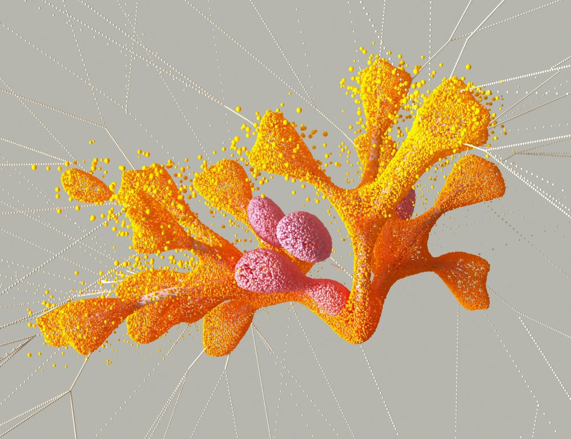 Abstracte digitale kunst in oranje en roze, lijkt op koraal.