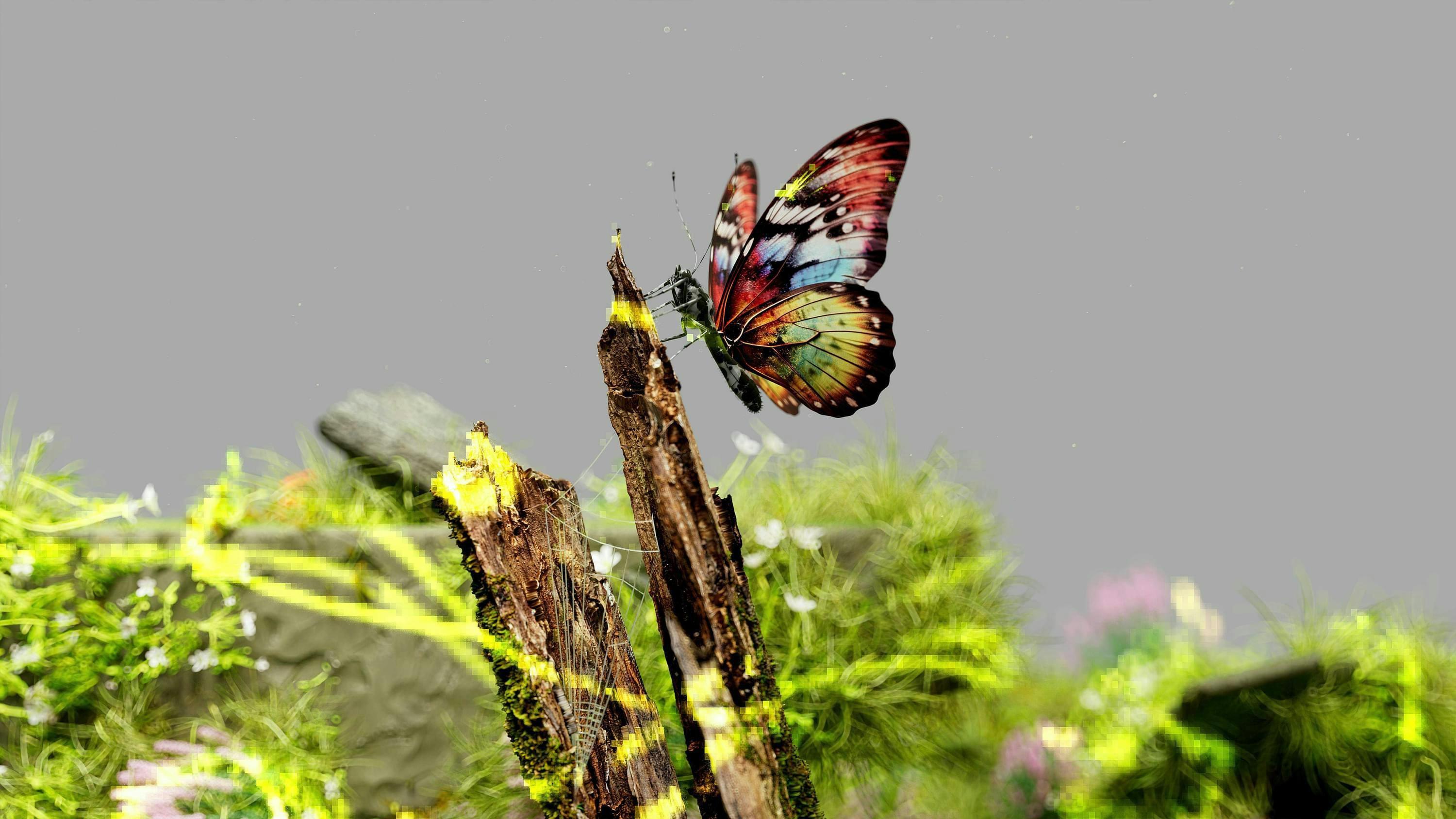 Vlinder in digitale tuin