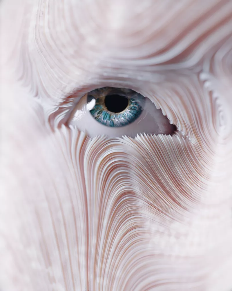 Marko brecic wdg4 X3pot YY unsplash
