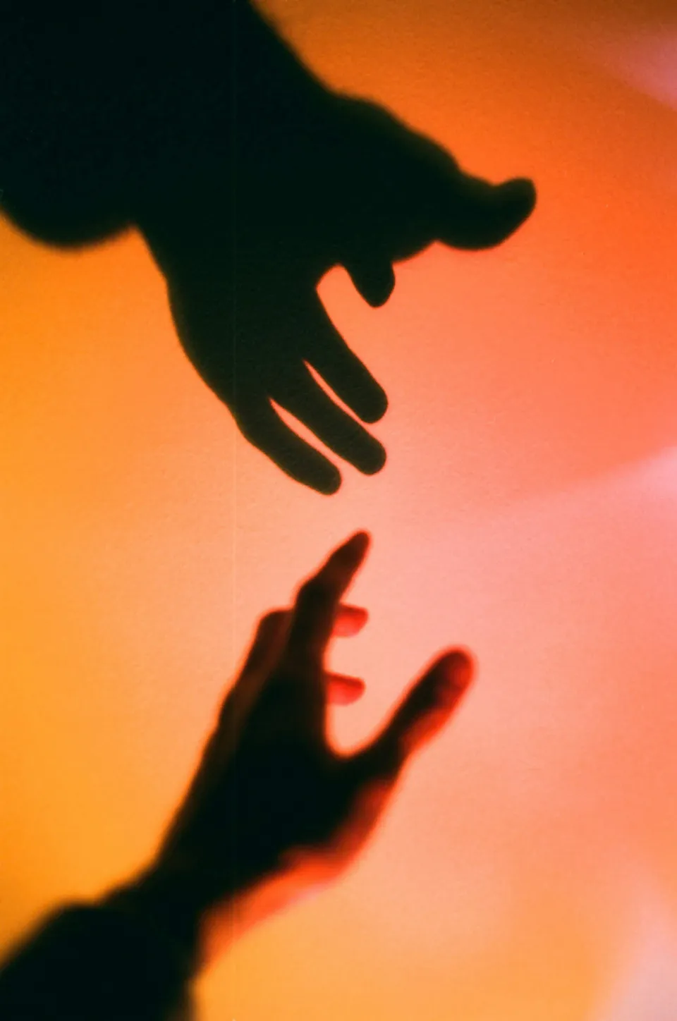 Beyza yurtkuran 6mgv4 RJ Khhc unsplash
